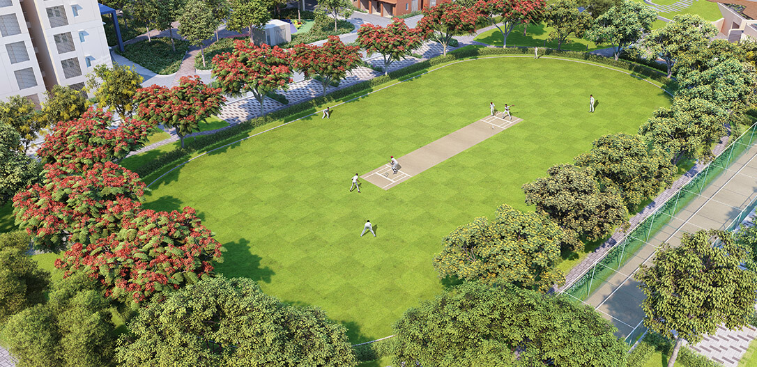 cricket-pitch