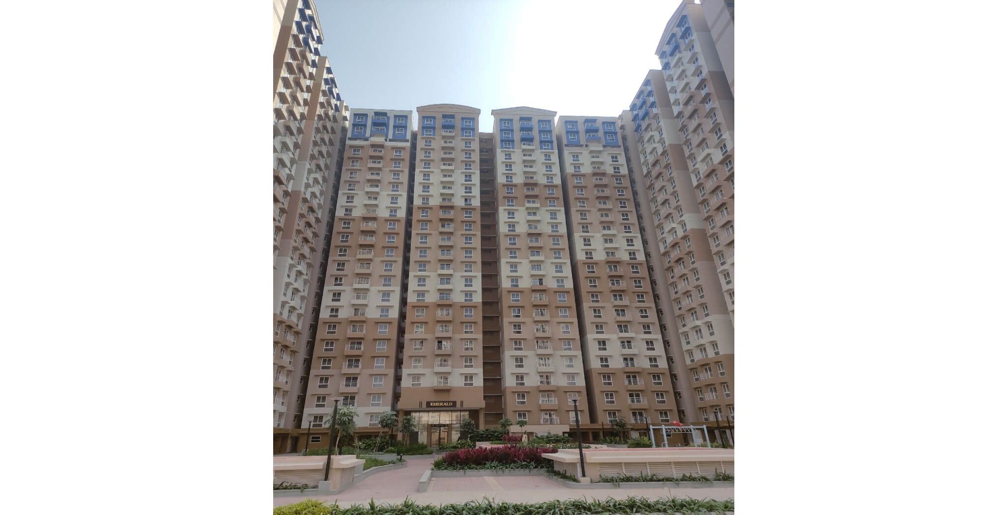 South Wing - Status Images 2
